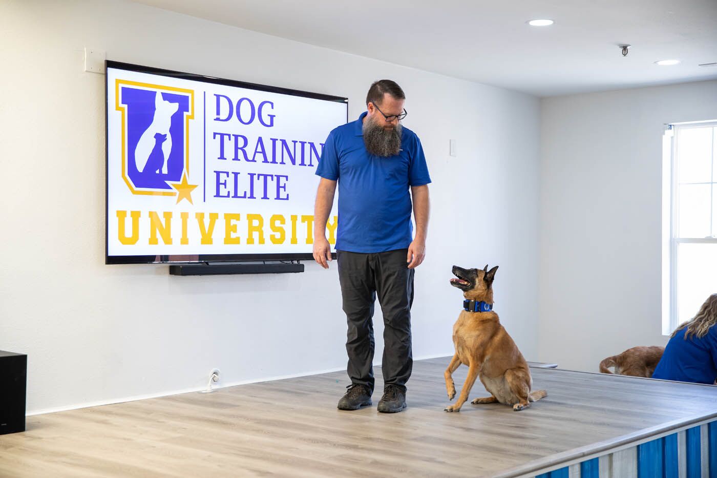 A DTE trainer and german shepherd at a show demo - learn exactly why we offer the best in-home dog training.
