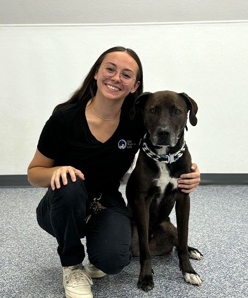 Alexa - Trainer